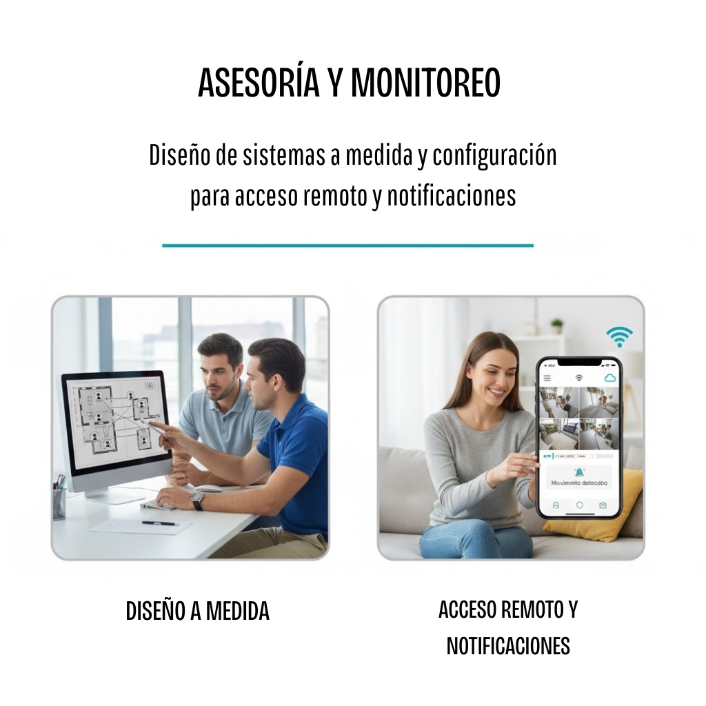 Asesoría y monitoreo SEGURICAM